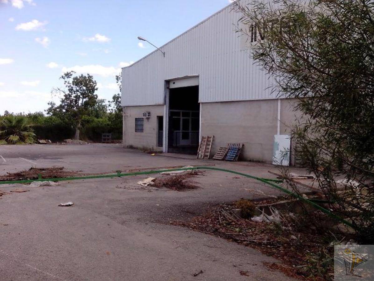 For sale of industrial plant/warehouse in Albalat de la Ribera