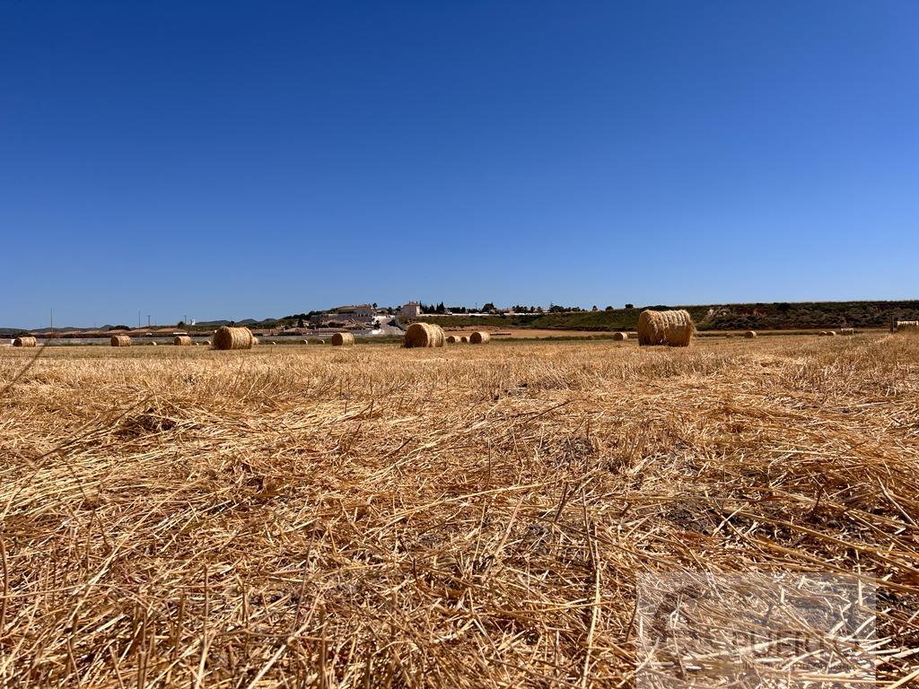 Vente de propriété rurale dans Los Martinez del Puerto