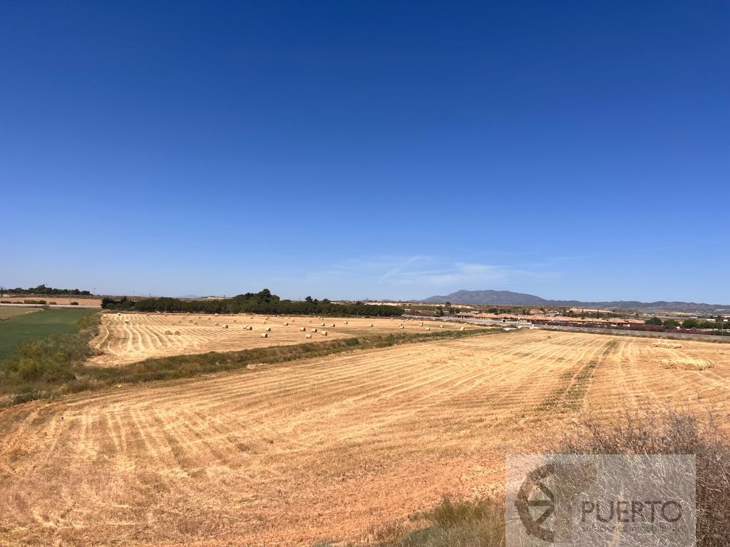 For sale of rural property in Los Martinez del Puerto