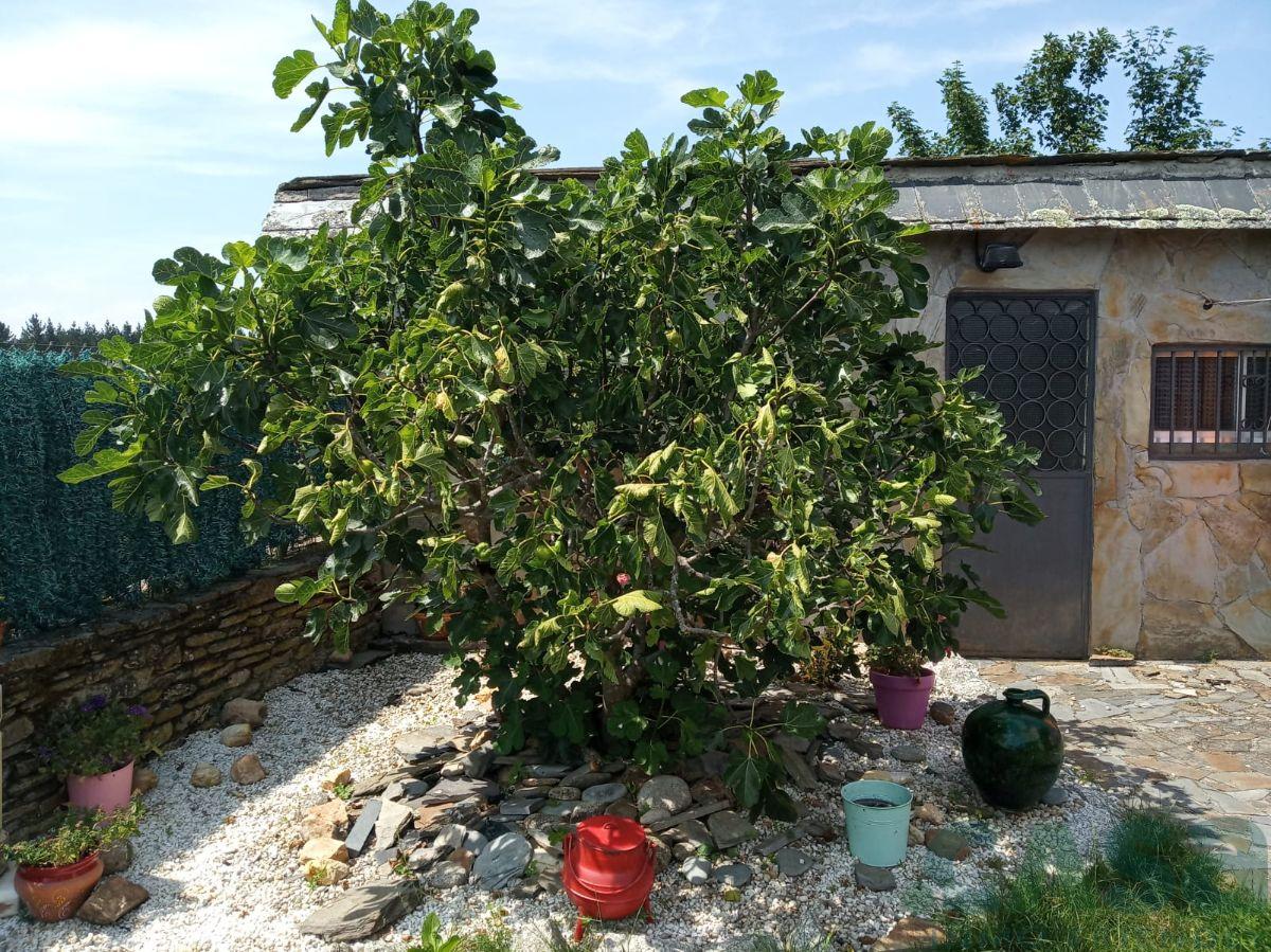 For sale of house in Corgo O