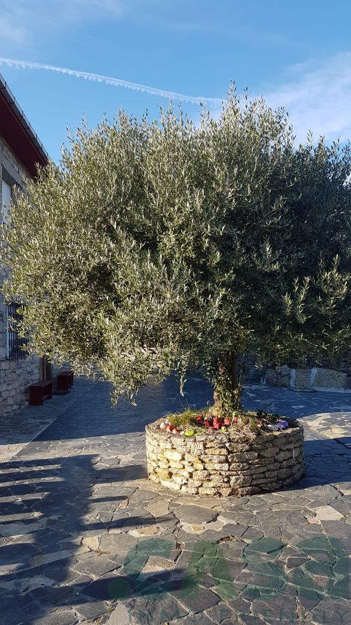For sale of house in Corgo O