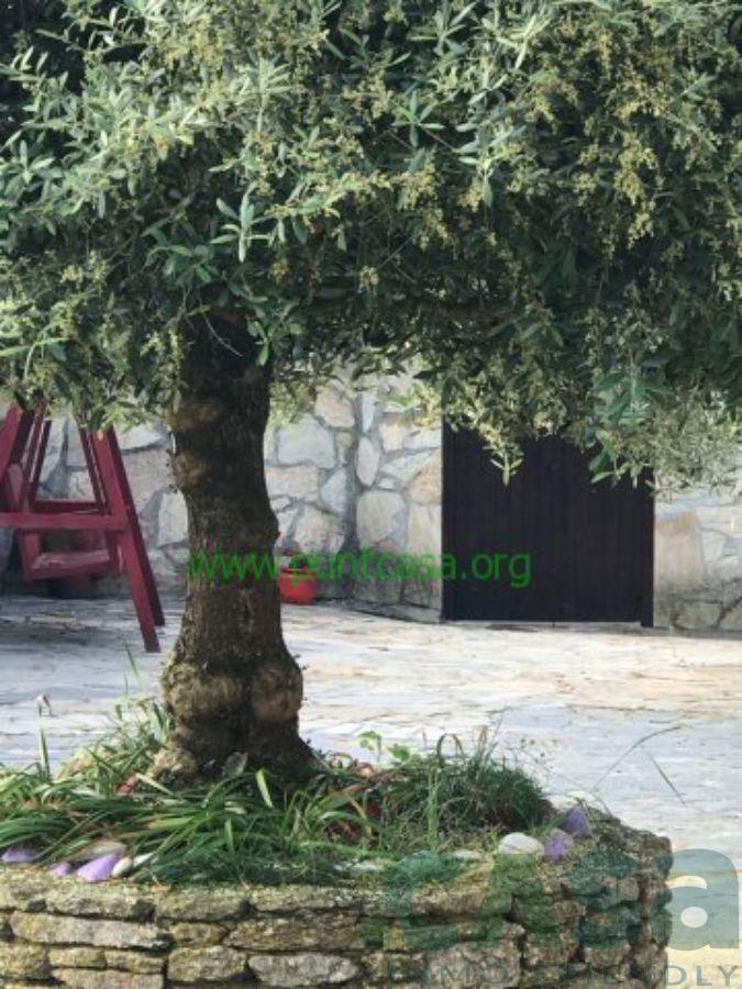 For sale of house in Corgo O
