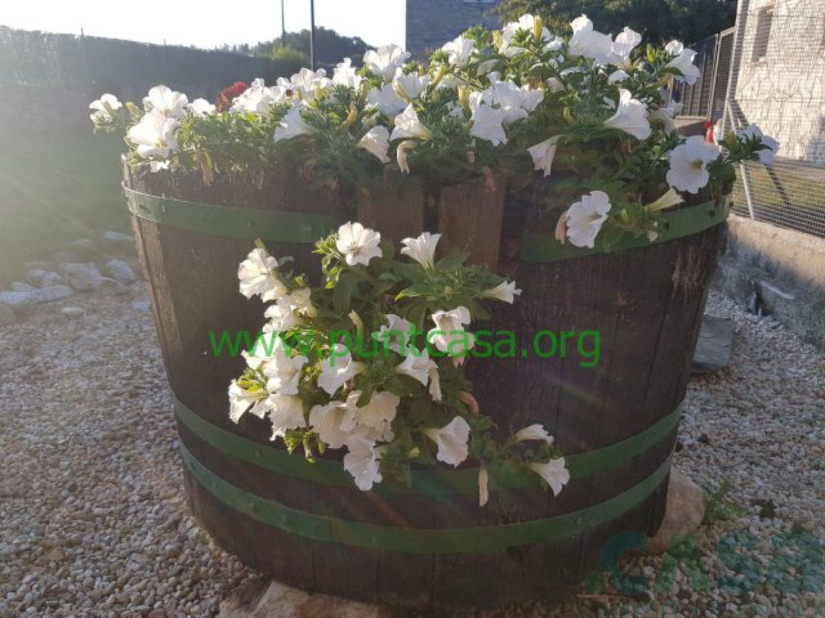 For sale of house in Corgo O
