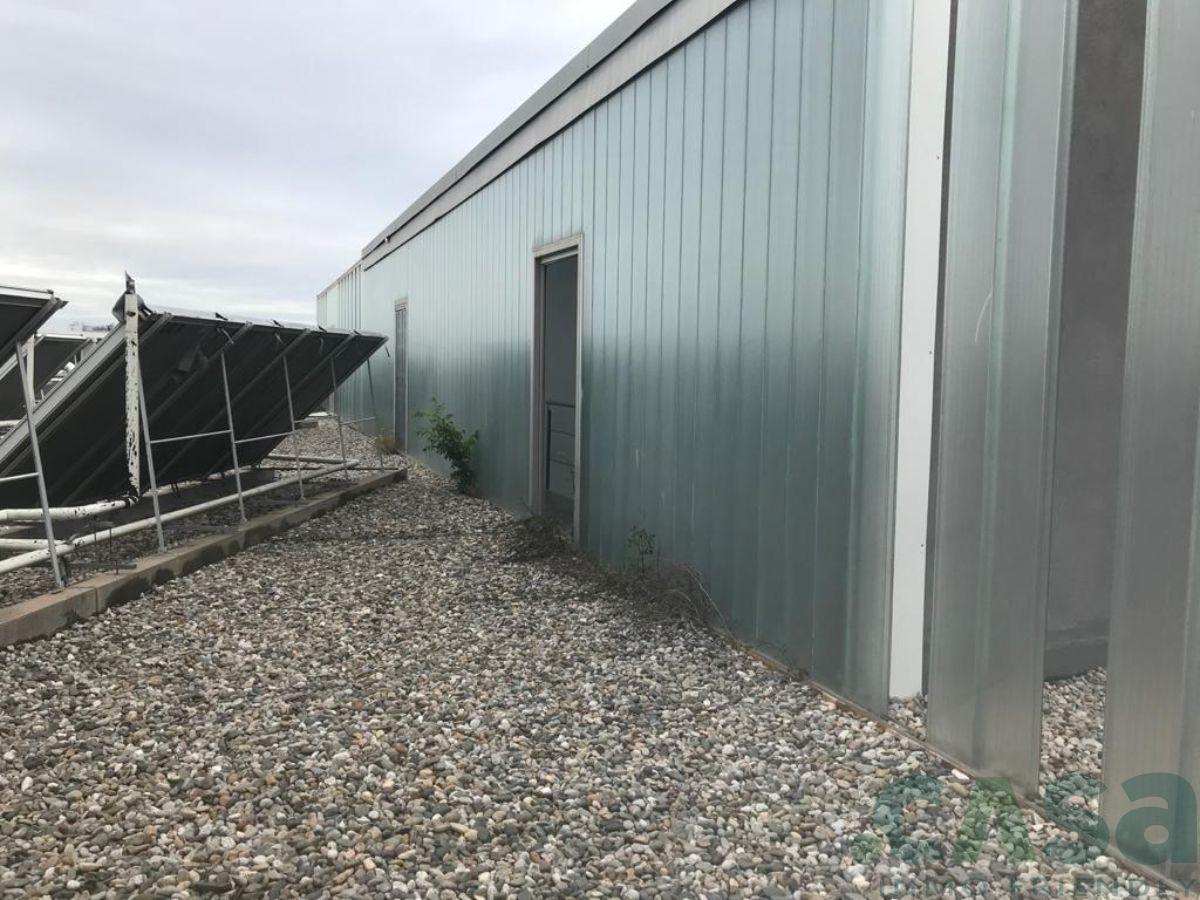 For sale of industrial plant/warehouse in Badalona