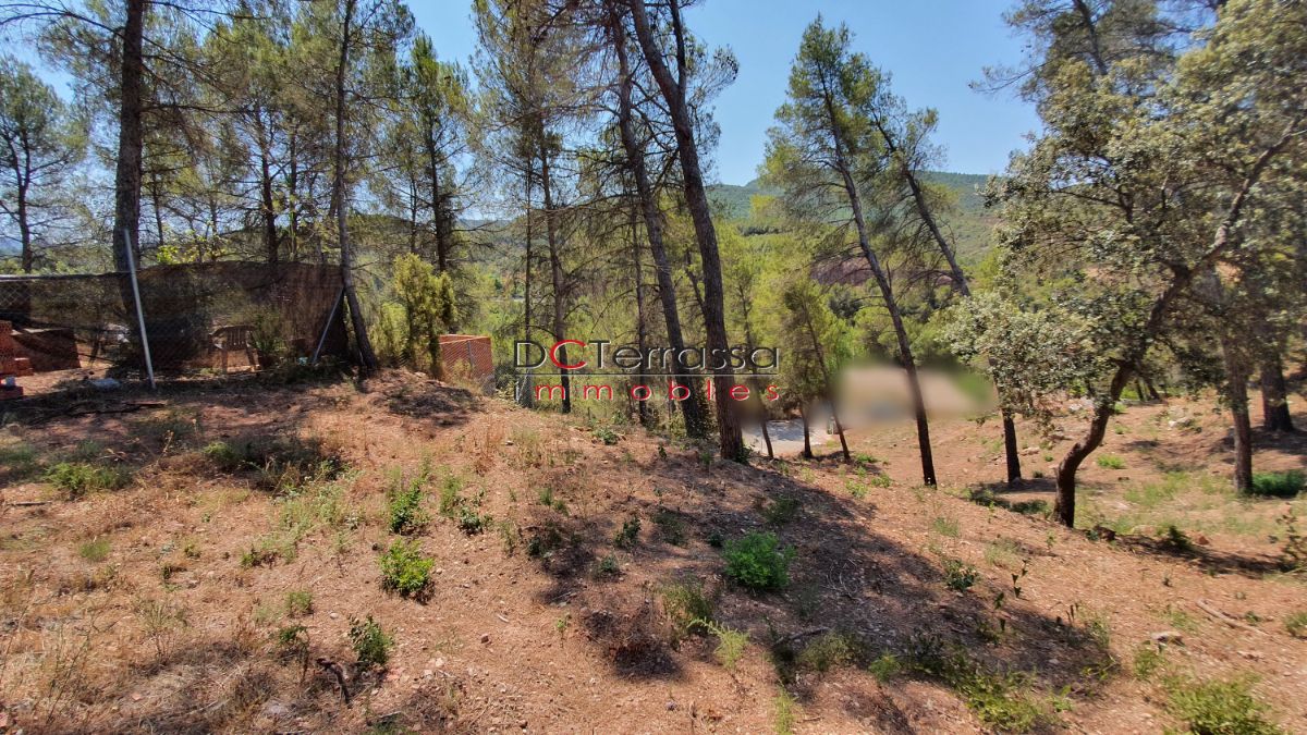 For sale of land in Vacarisses