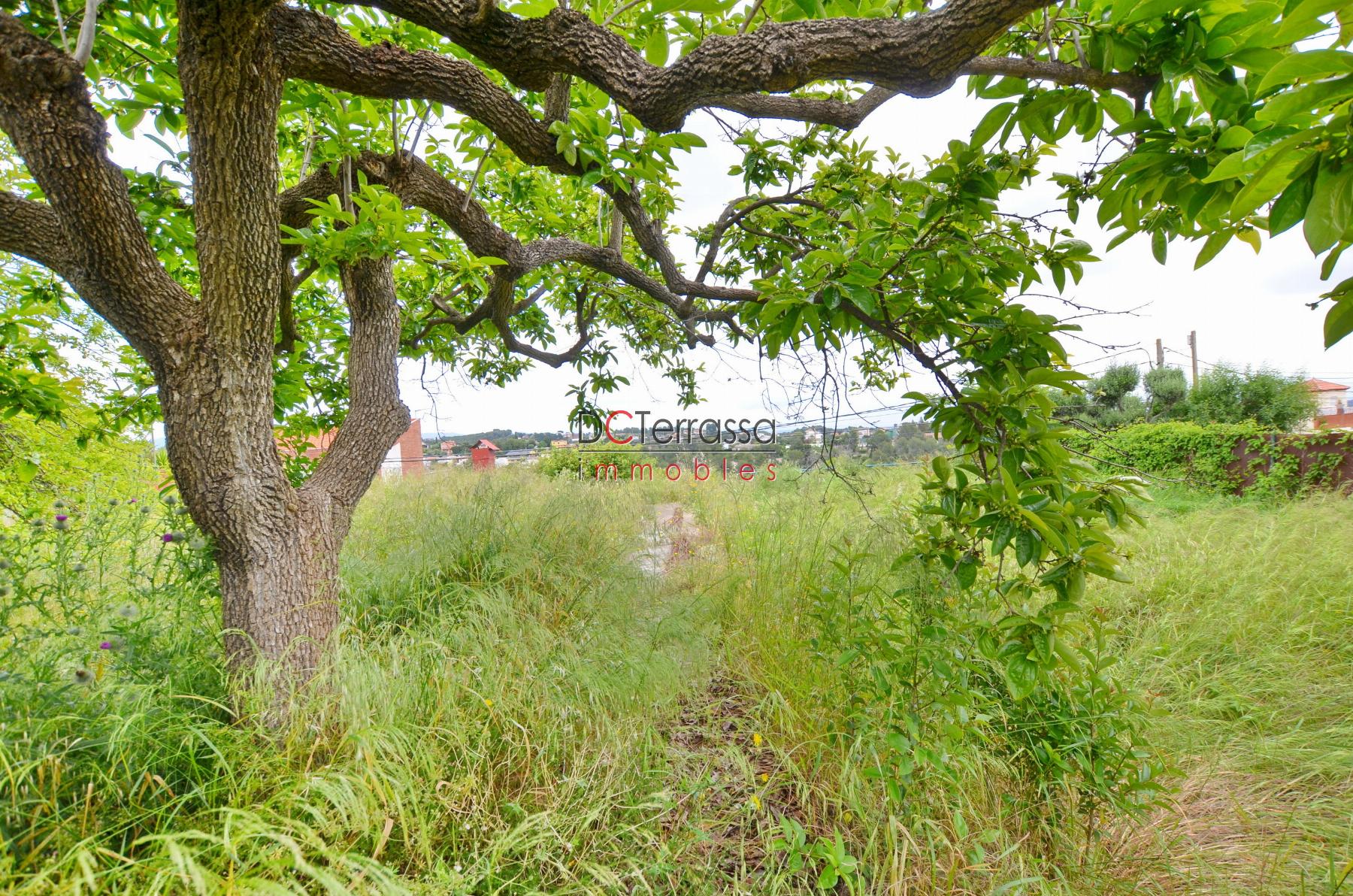 For sale of land in Terrassa