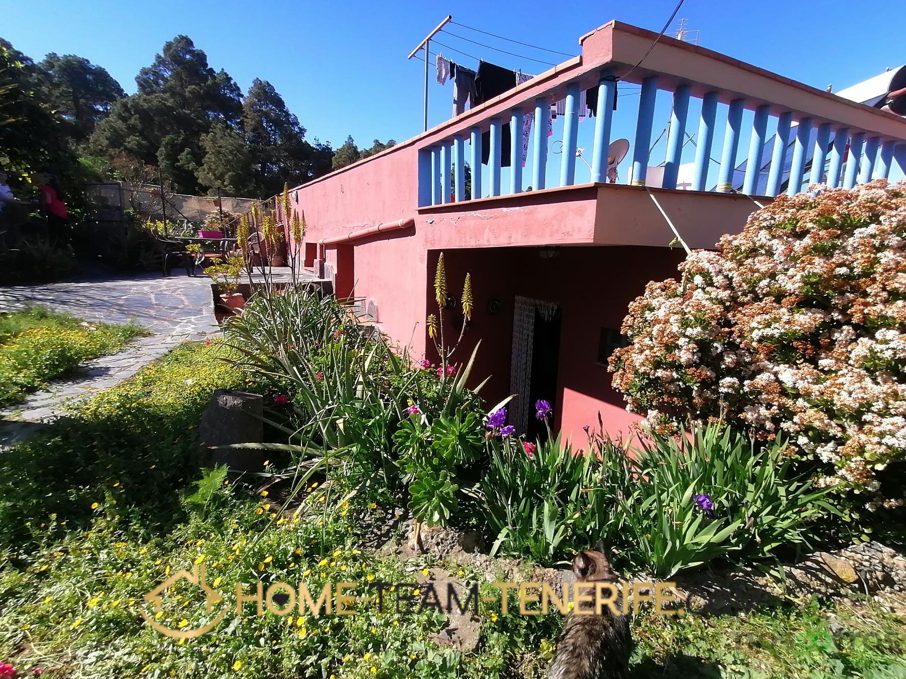 For sale of house in Icod de los Vinos