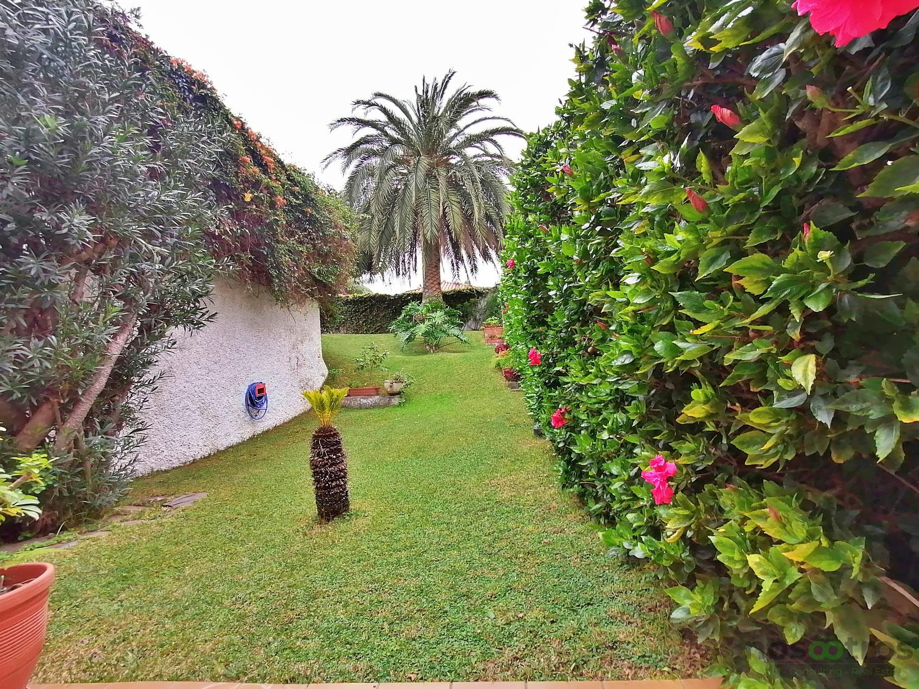 For sale of house in Puerto de la Cruz