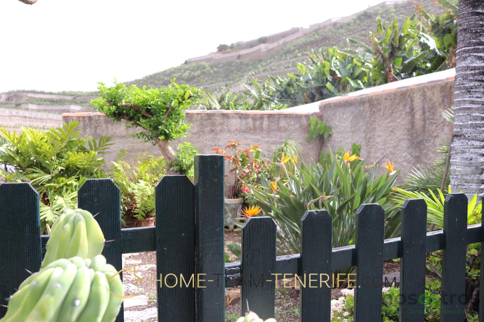 For sale of rural property in Icod de los Vinos