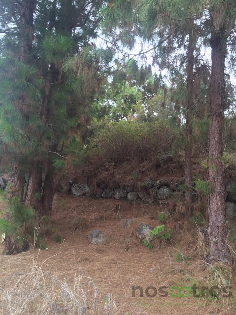 For sale of land in Icod de los Vinos