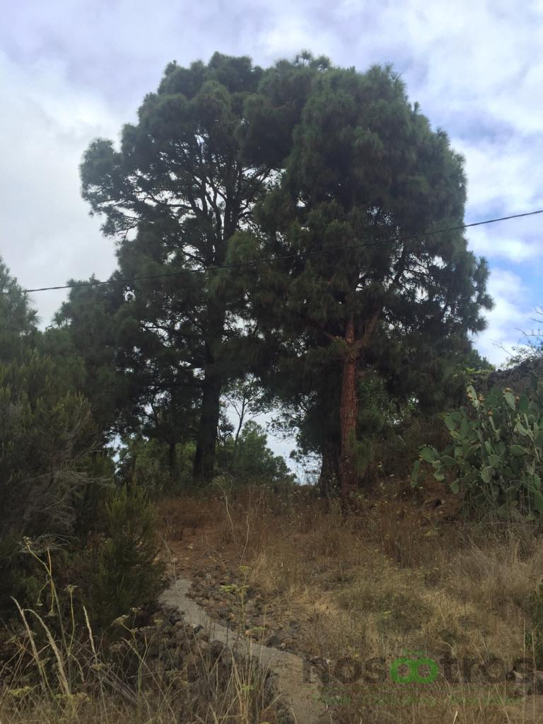 For sale of land in Icod de los Vinos