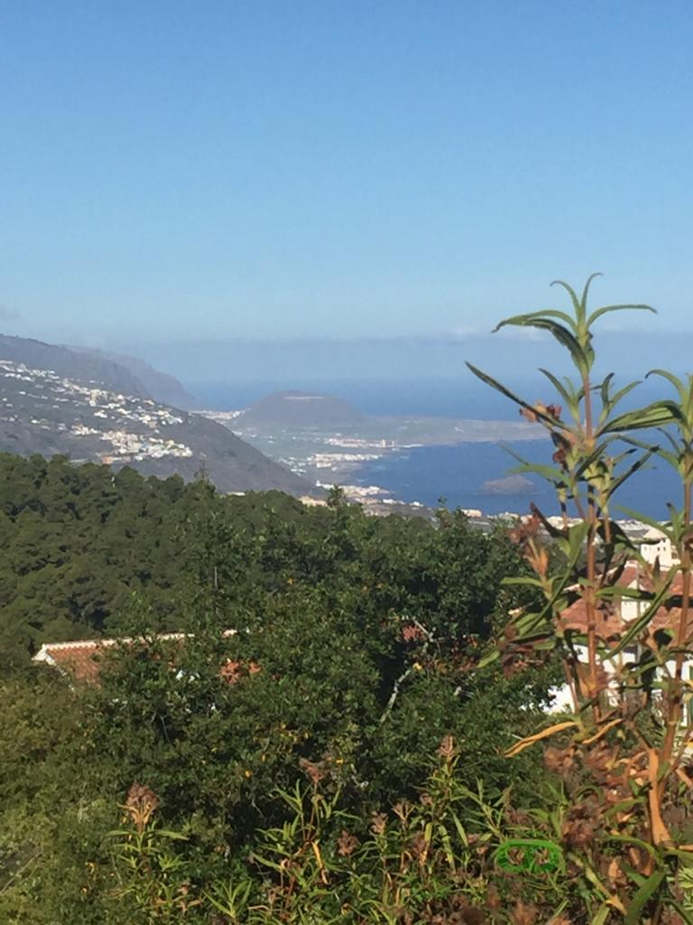 For sale of land in Icod de los Vinos