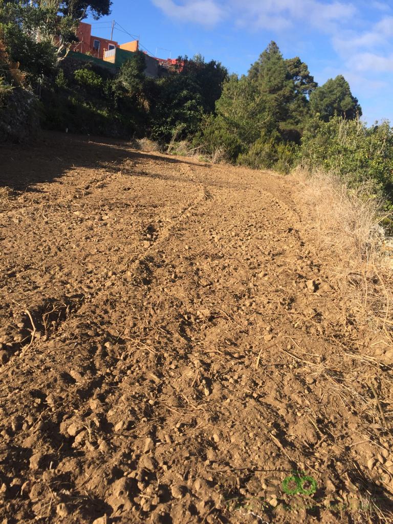 For sale of land in Icod de los Vinos