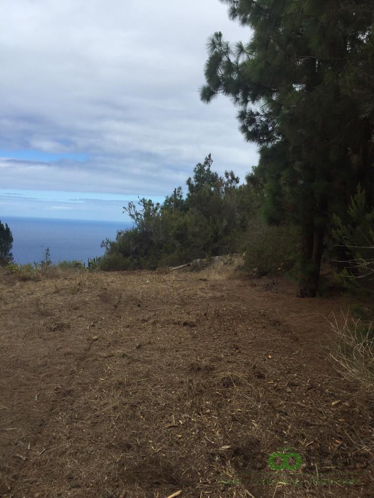For sale of land in Icod de los Vinos
