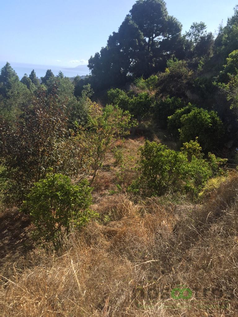 For sale of land in Icod de los Vinos