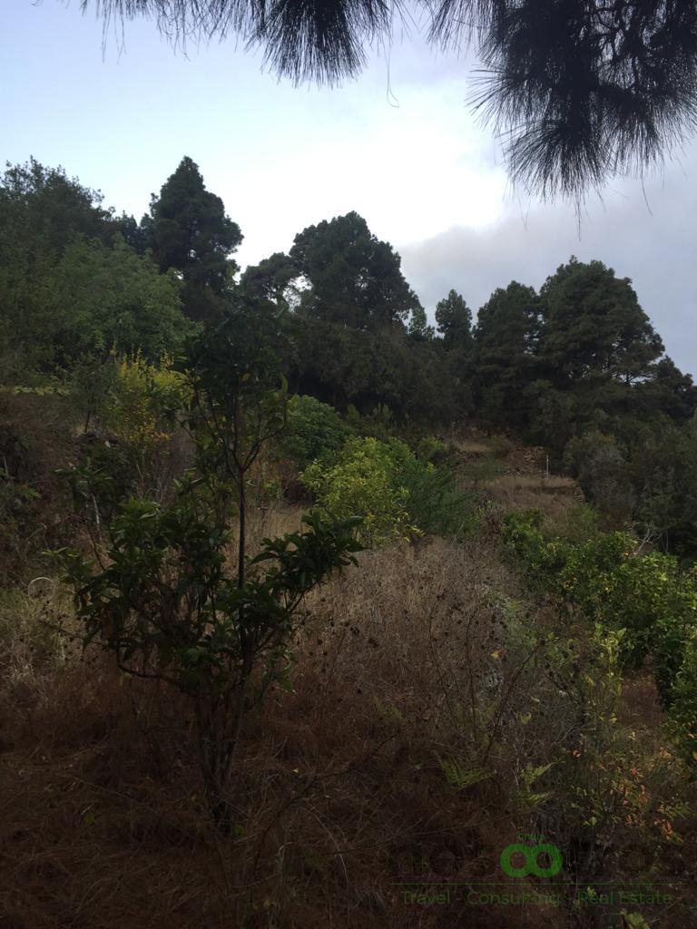 For sale of land in Icod de los Vinos