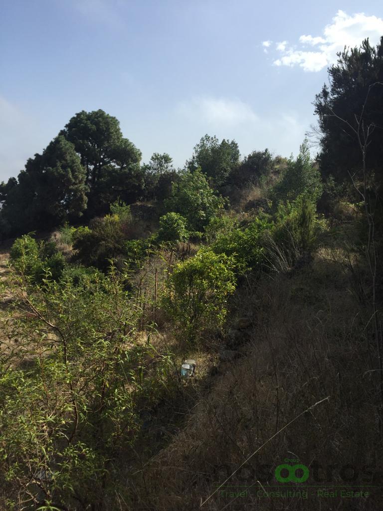 For sale of land in Icod de los Vinos