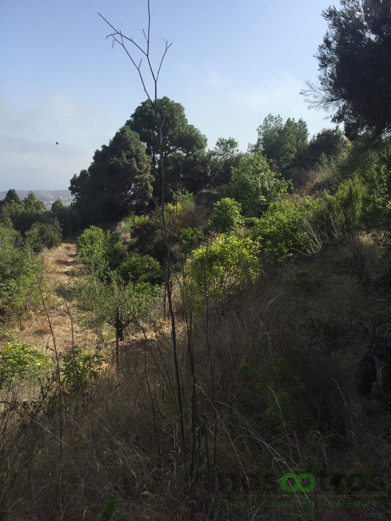 For sale of land in Icod de los Vinos