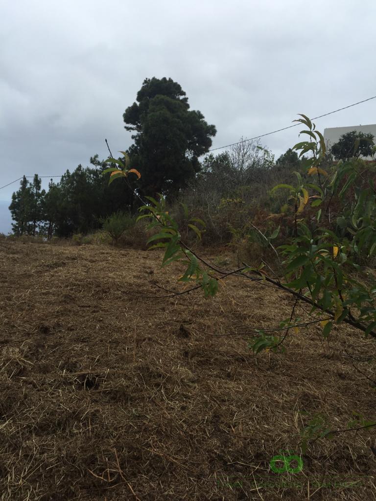 For sale of land in Icod de los Vinos