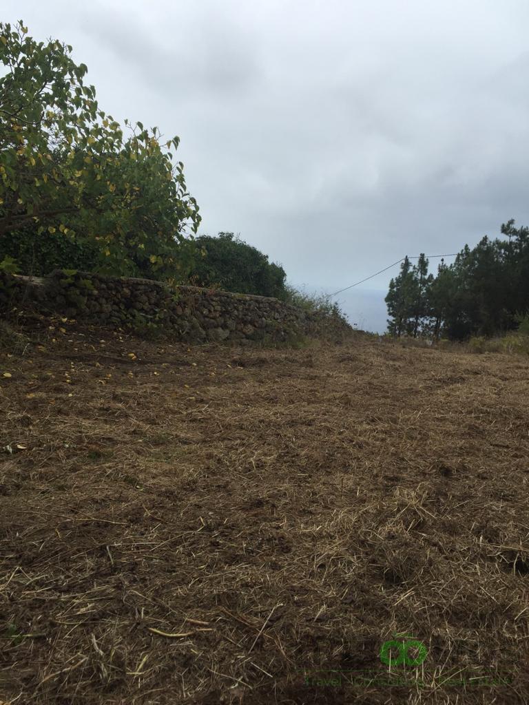 For sale of land in Icod de los Vinos