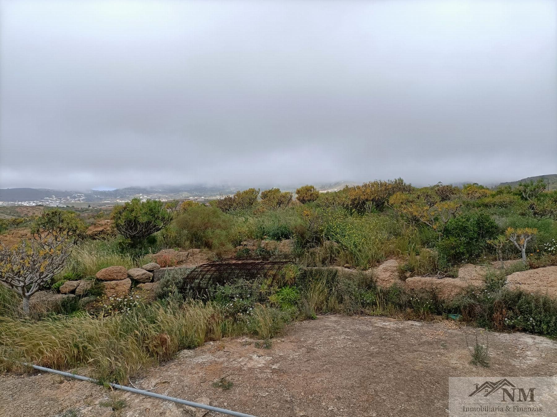 Venta de finca rústica en Granadilla de Abona