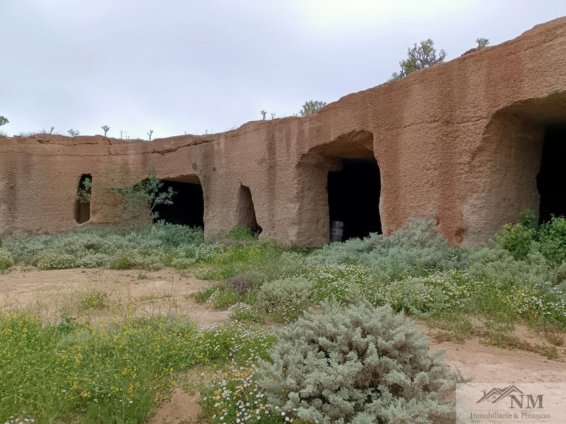 Venta de finca rústica en Granadilla de Abona