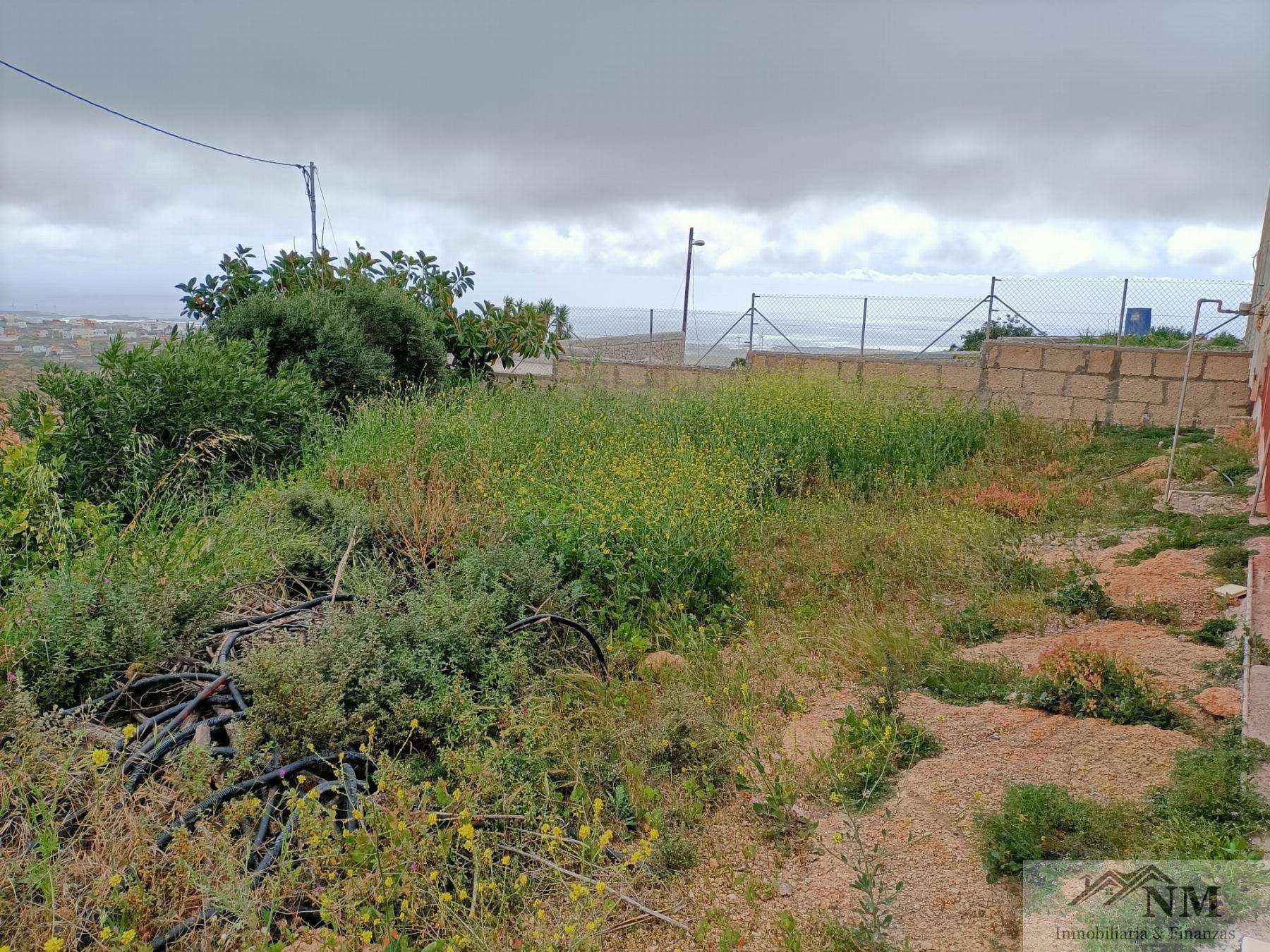 Venta de finca rústica en Granadilla de Abona