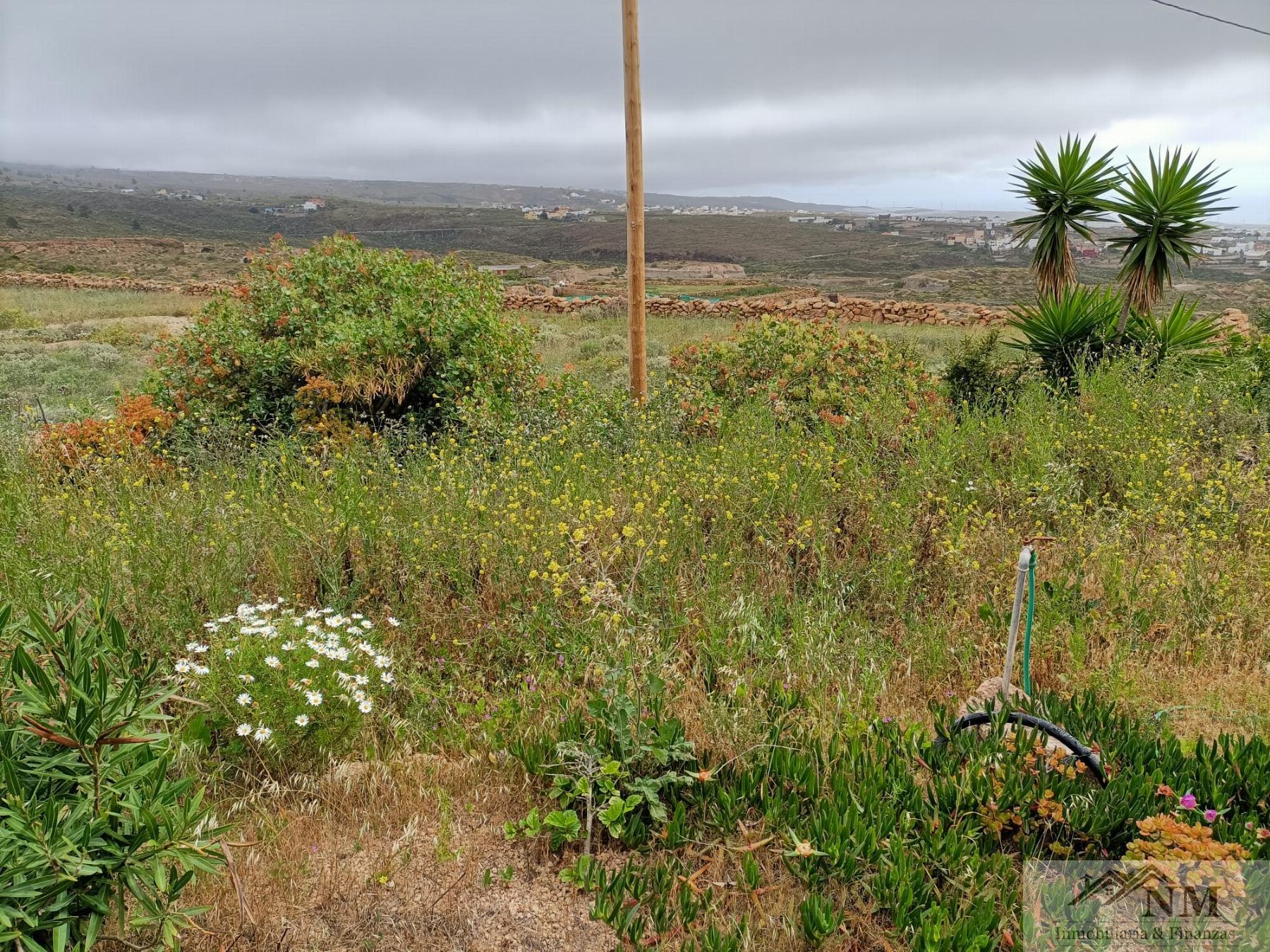 Venta de finca rústica en Granadilla de Abona