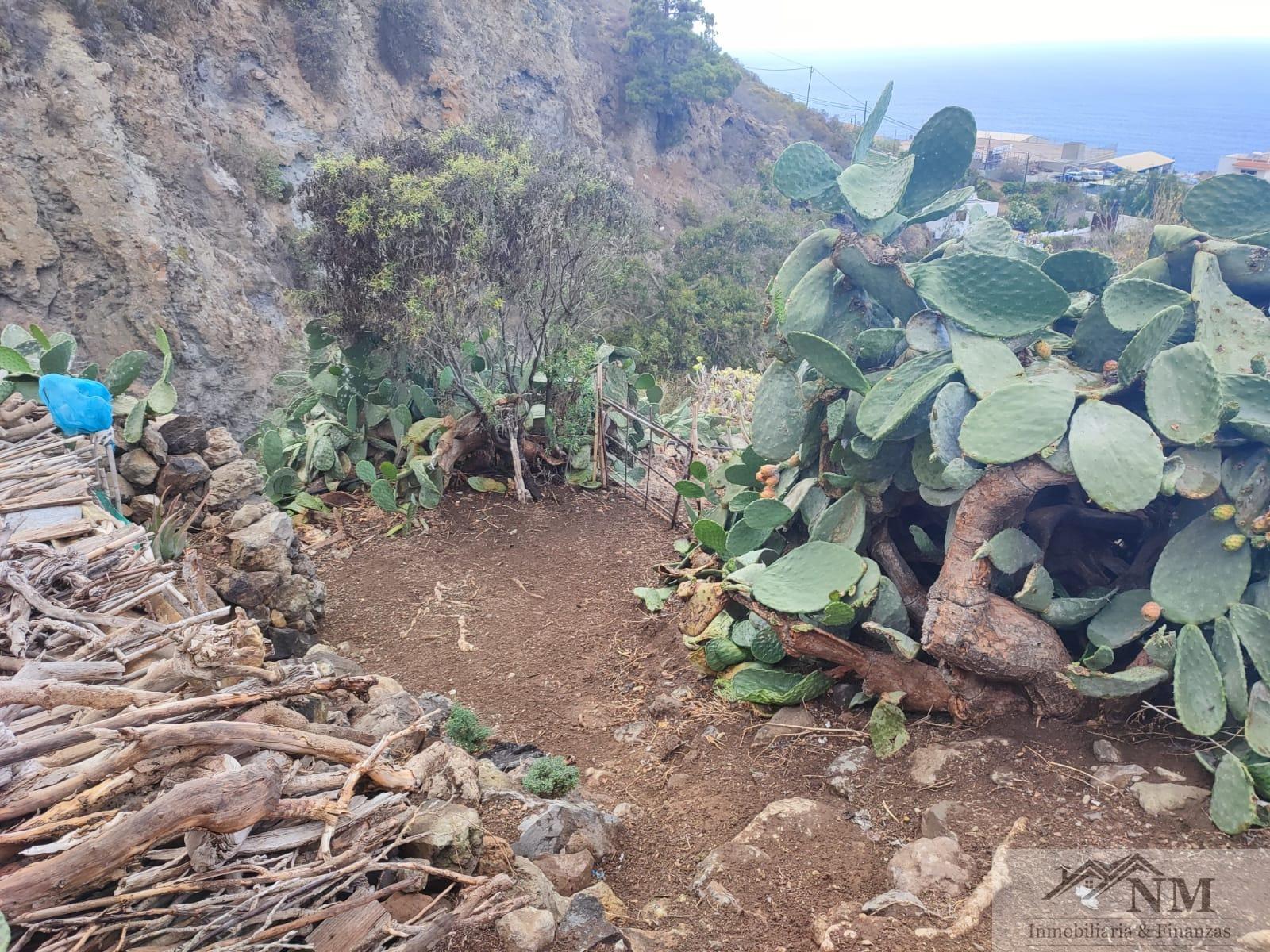 For sale of rural property in Icod de los Vinos