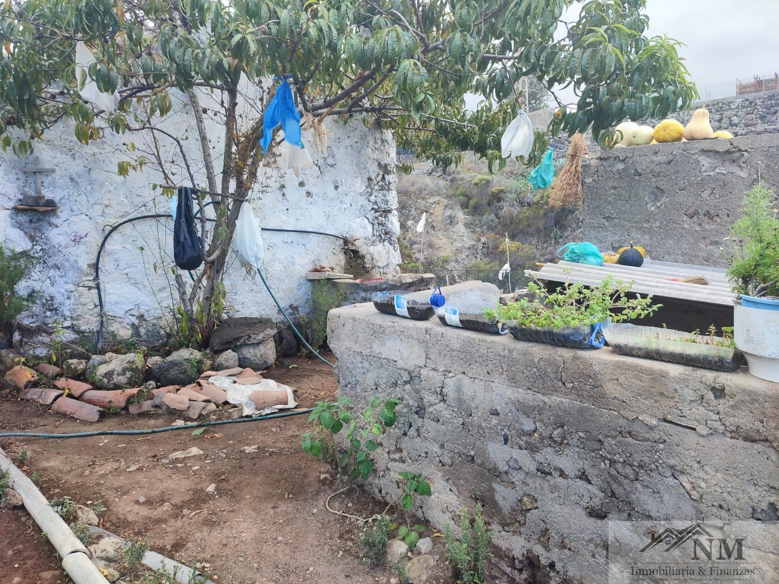 For sale of rural property in Icod de los Vinos