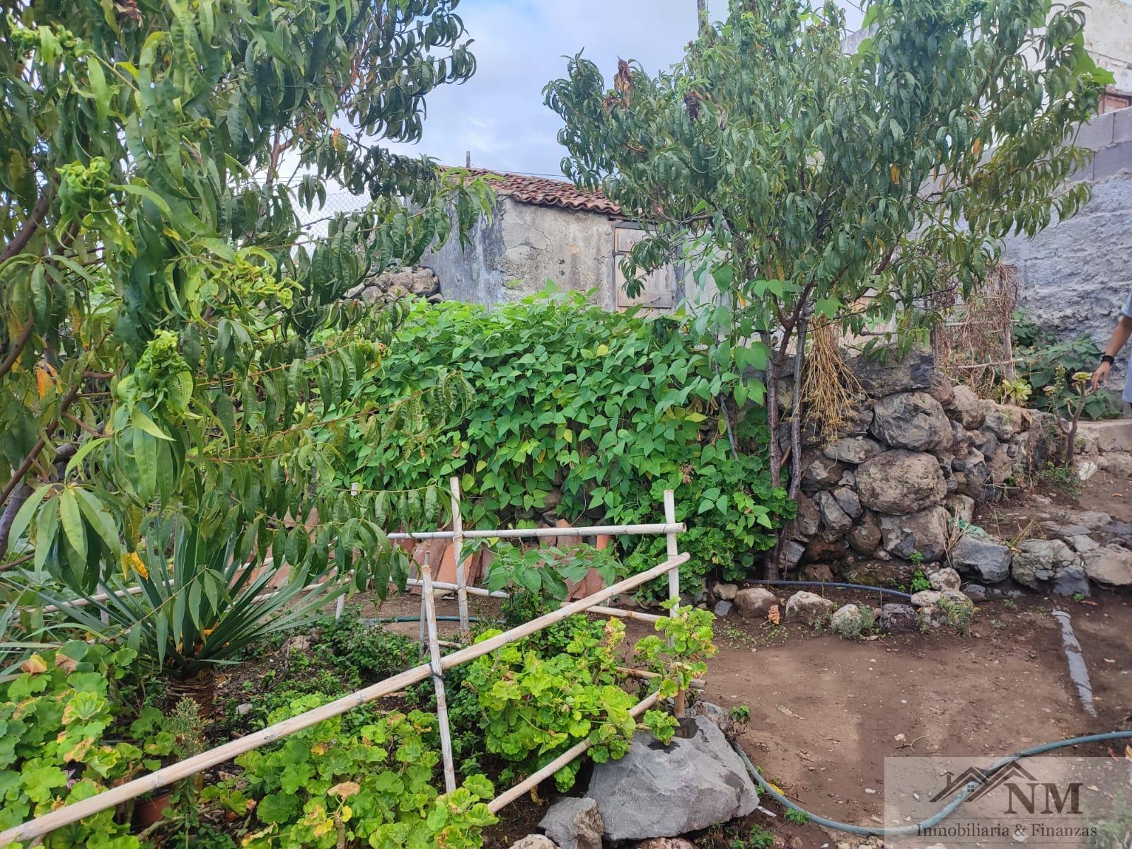 For sale of rural property in Icod de los Vinos