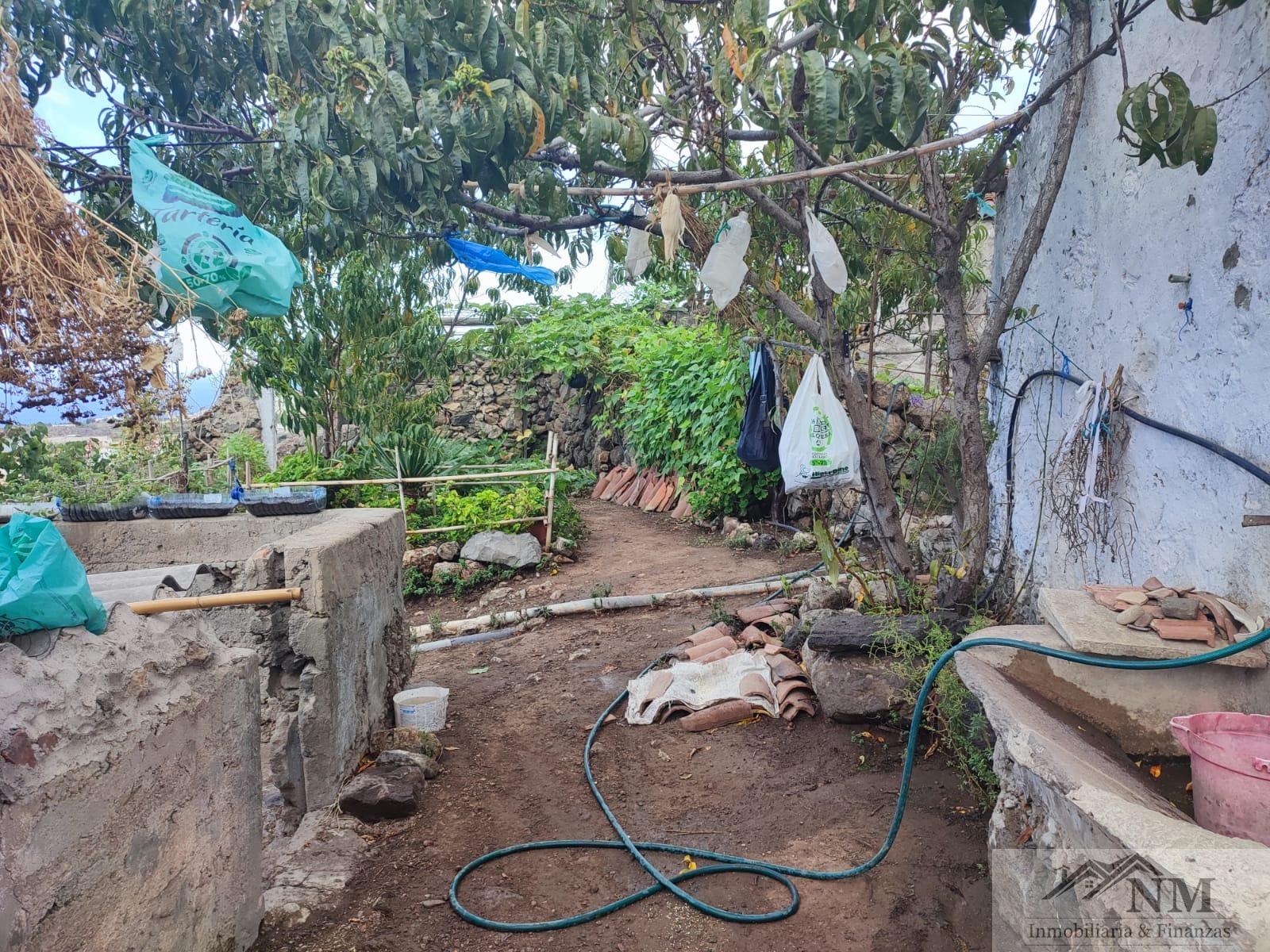 For sale of rural property in Icod de los Vinos