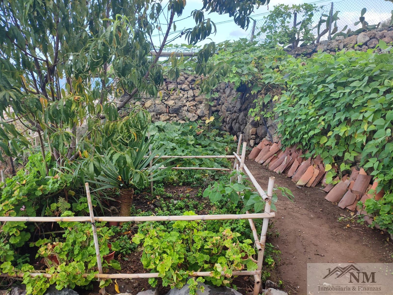 For sale of rural property in Icod de los Vinos