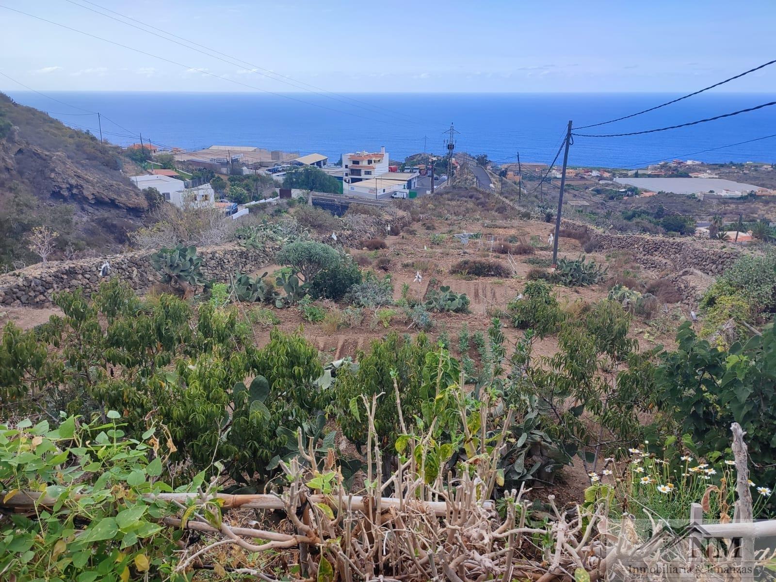 For sale of rural property in Icod de los Vinos