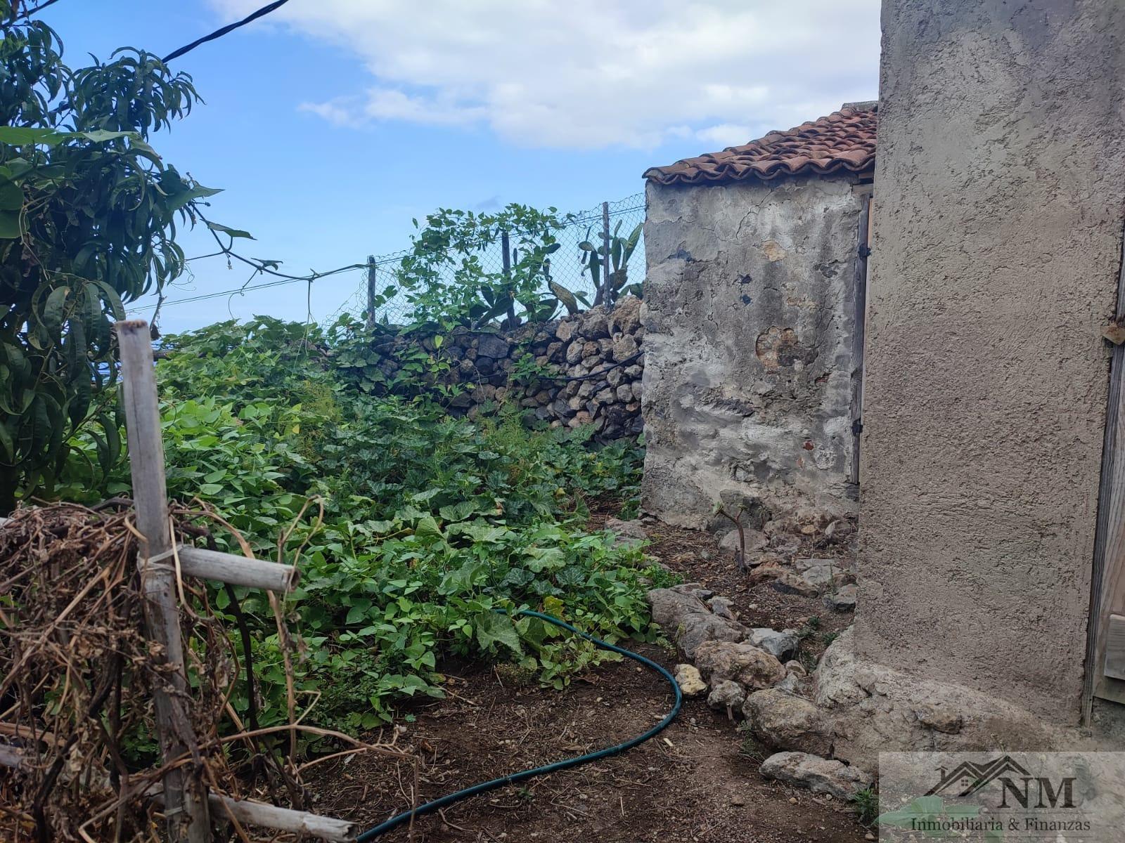 For sale of rural property in Icod de los Vinos
