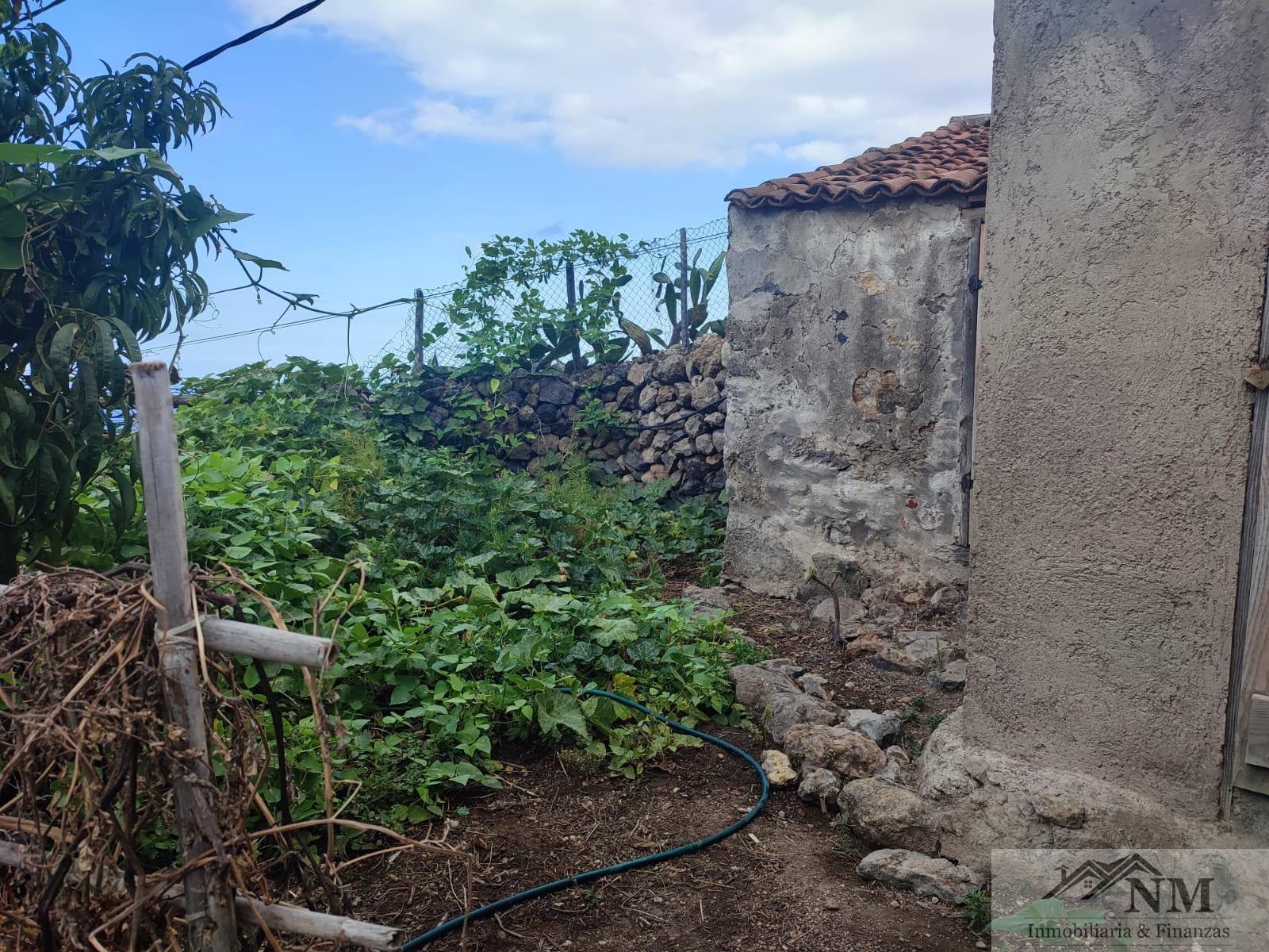 Vente de propriété rurale dans Icod de los Vinos