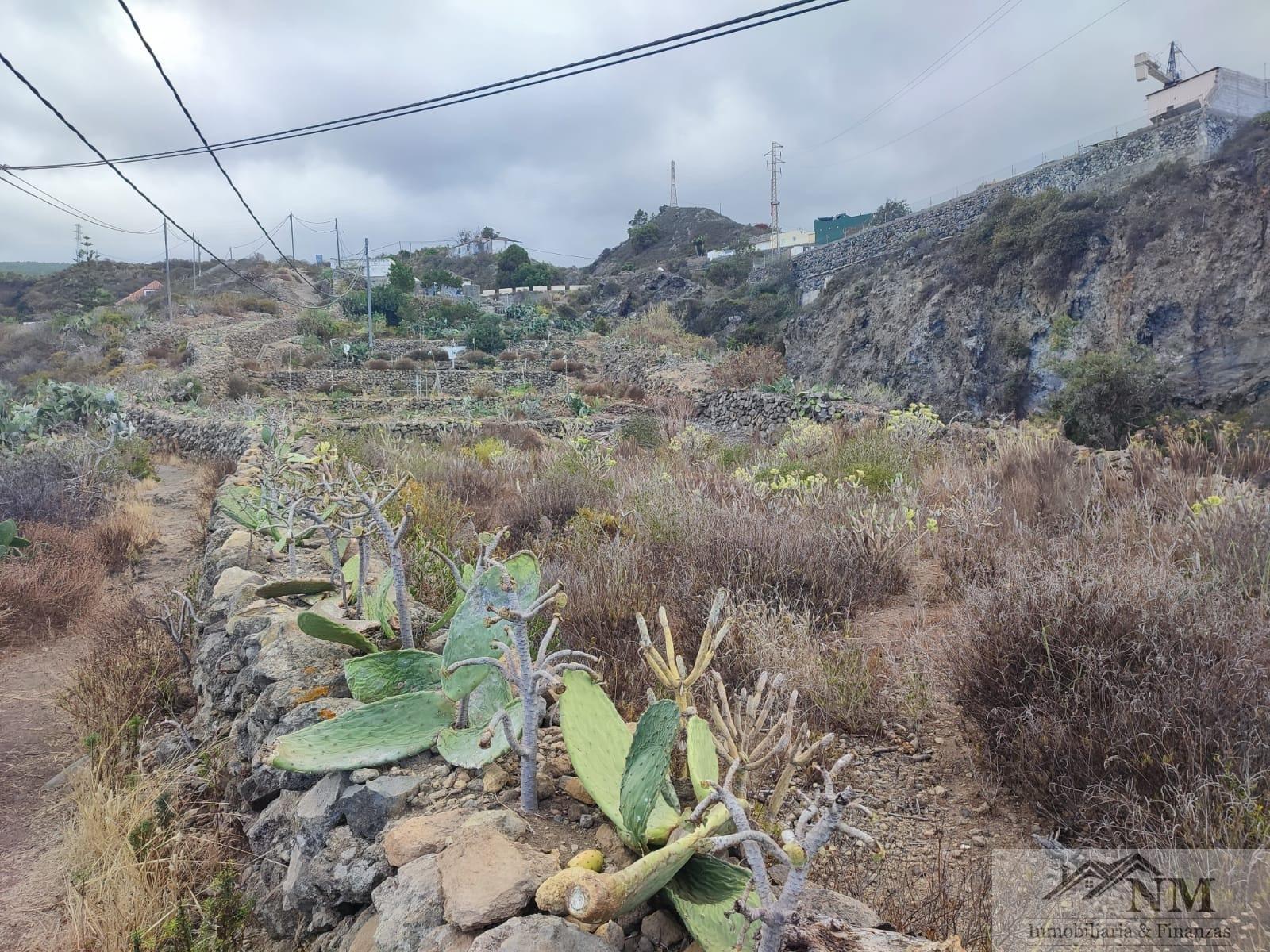 For sale of rural property in Icod de los Vinos