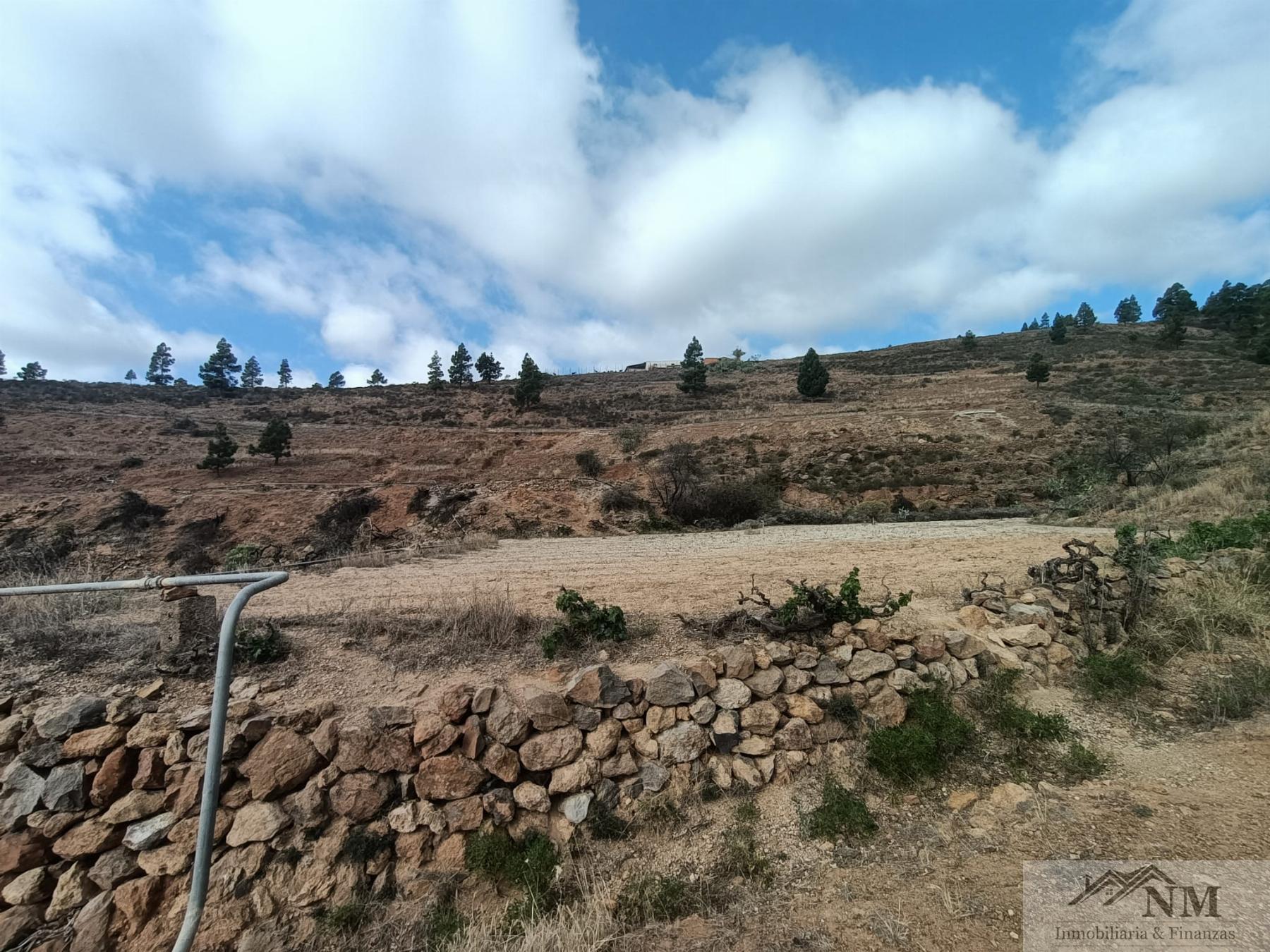 Vendita di proprietà rurale in Granadilla de Abona