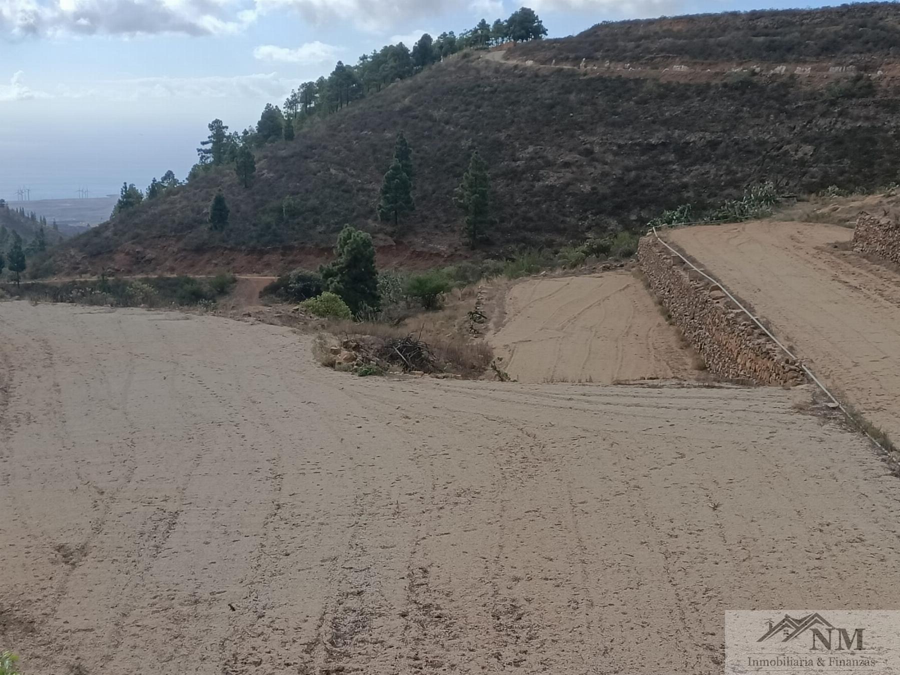 Venta de finca rústica en Granadilla de Abona