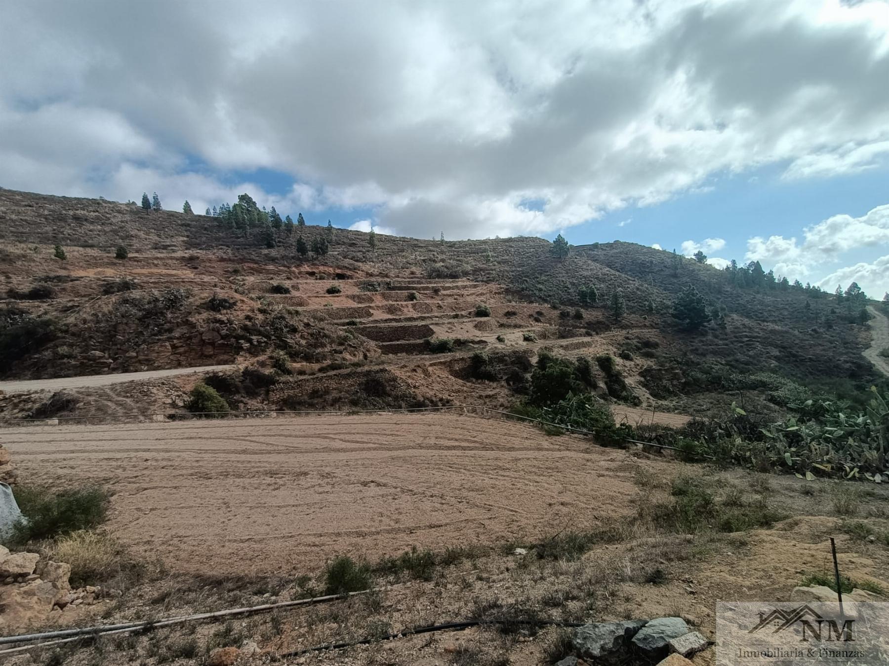 Venta de finca rústica en Granadilla de Abona