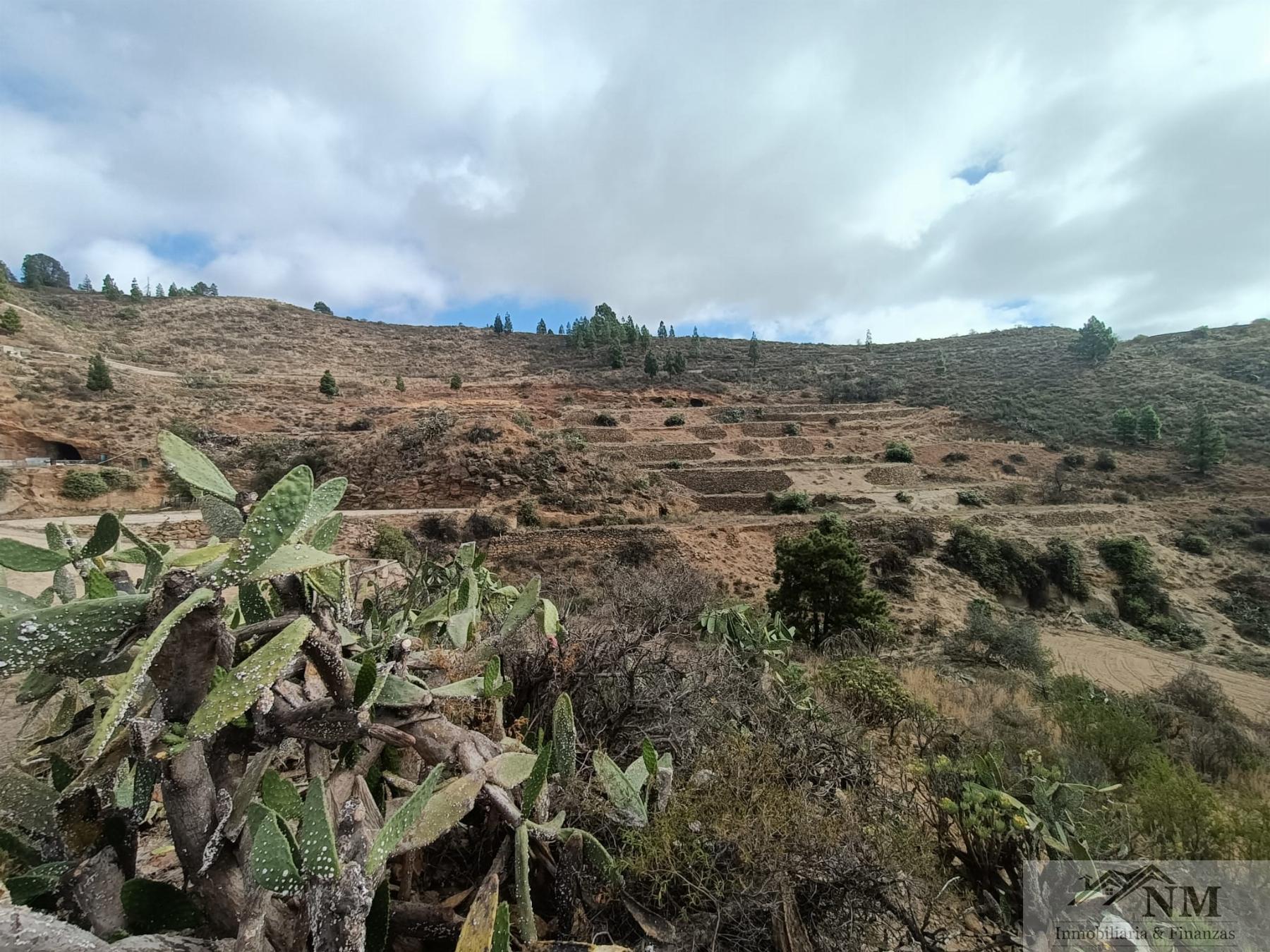 Vendita di proprietà rurale in Granadilla de Abona
