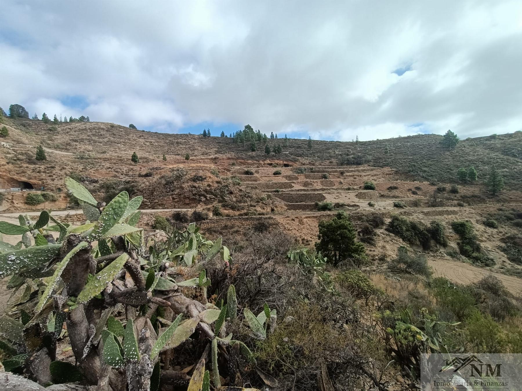 Venta de finca rústica en Granadilla de Abona