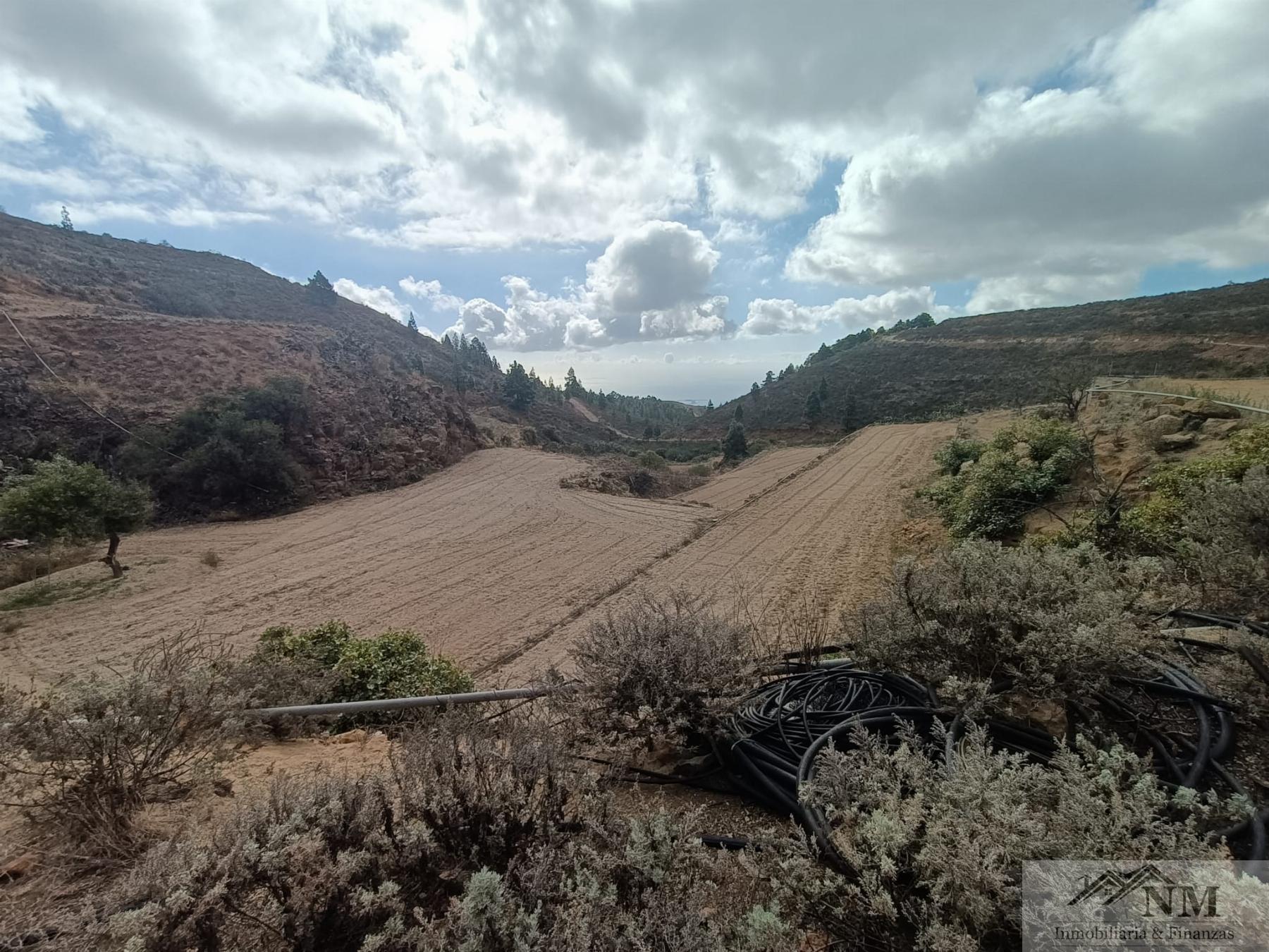 Venta de finca rústica en Granadilla de Abona