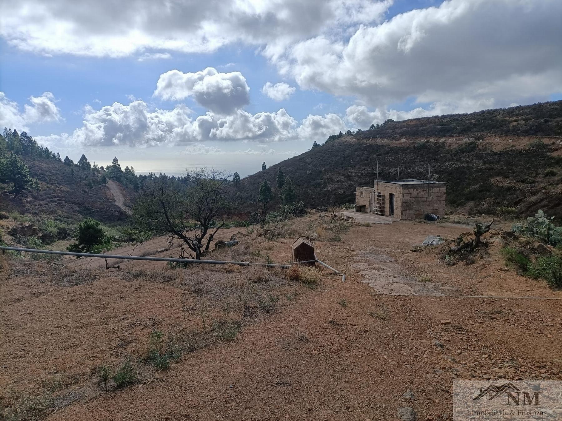 Venta de finca rústica en Granadilla de Abona