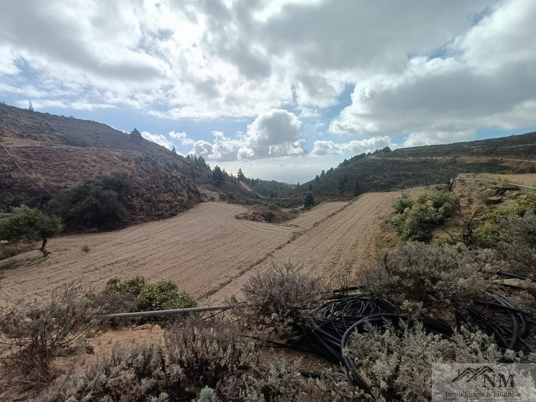 Venta de finca rústica en Granadilla de Abona