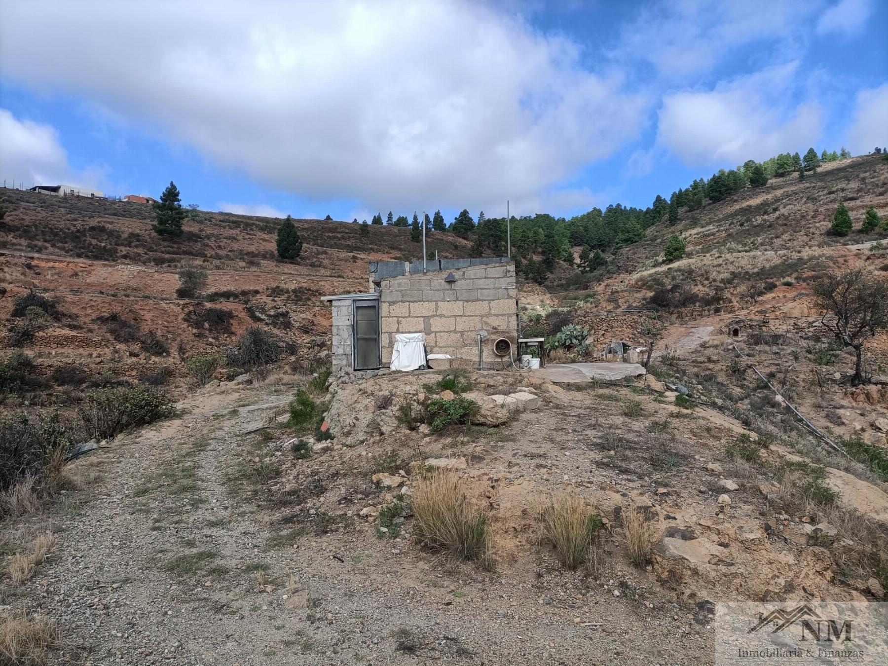 Venta de finca rústica en Granadilla de Abona