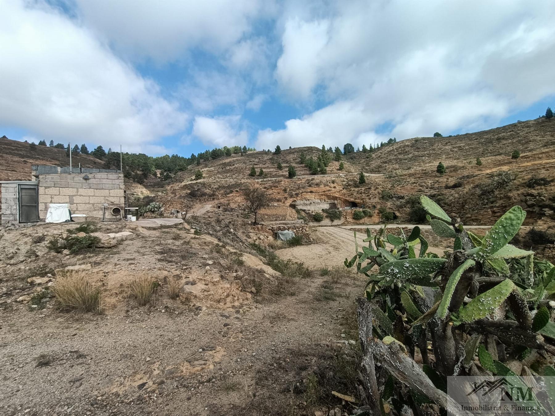 Venta de finca rústica en Granadilla de Abona