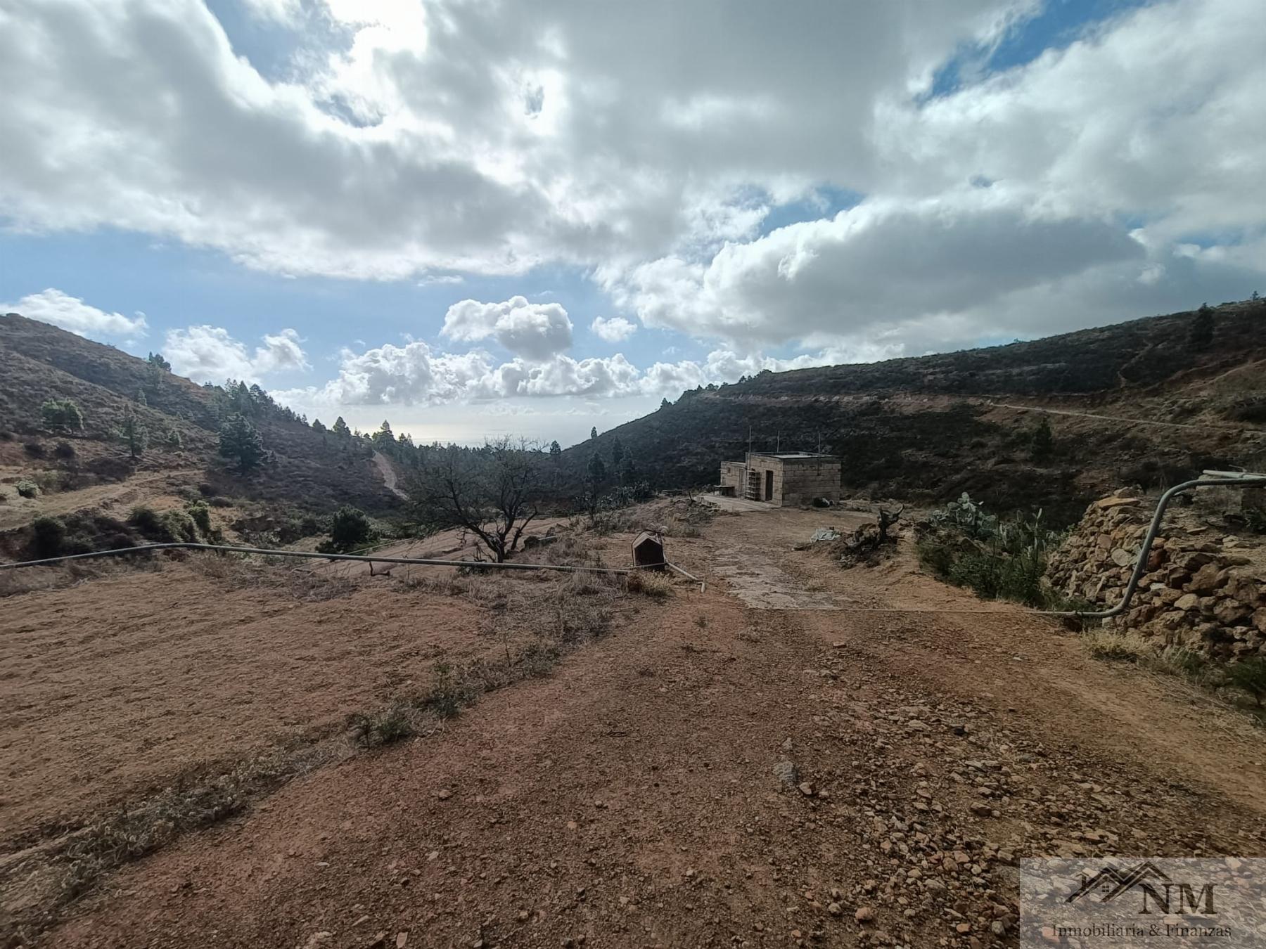 Venta de finca rústica en Granadilla de Abona