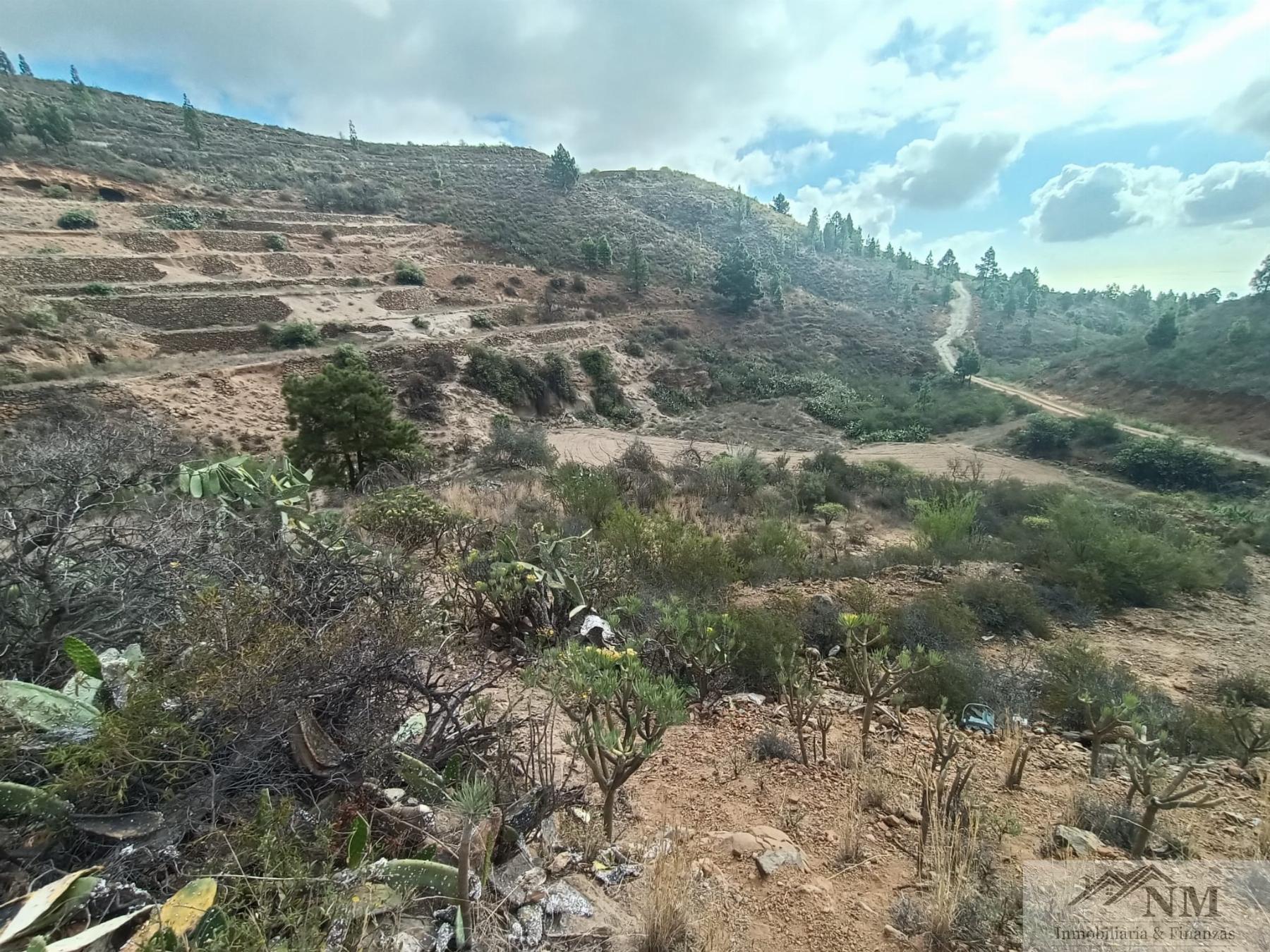 Venta de finca rústica en Granadilla de Abona