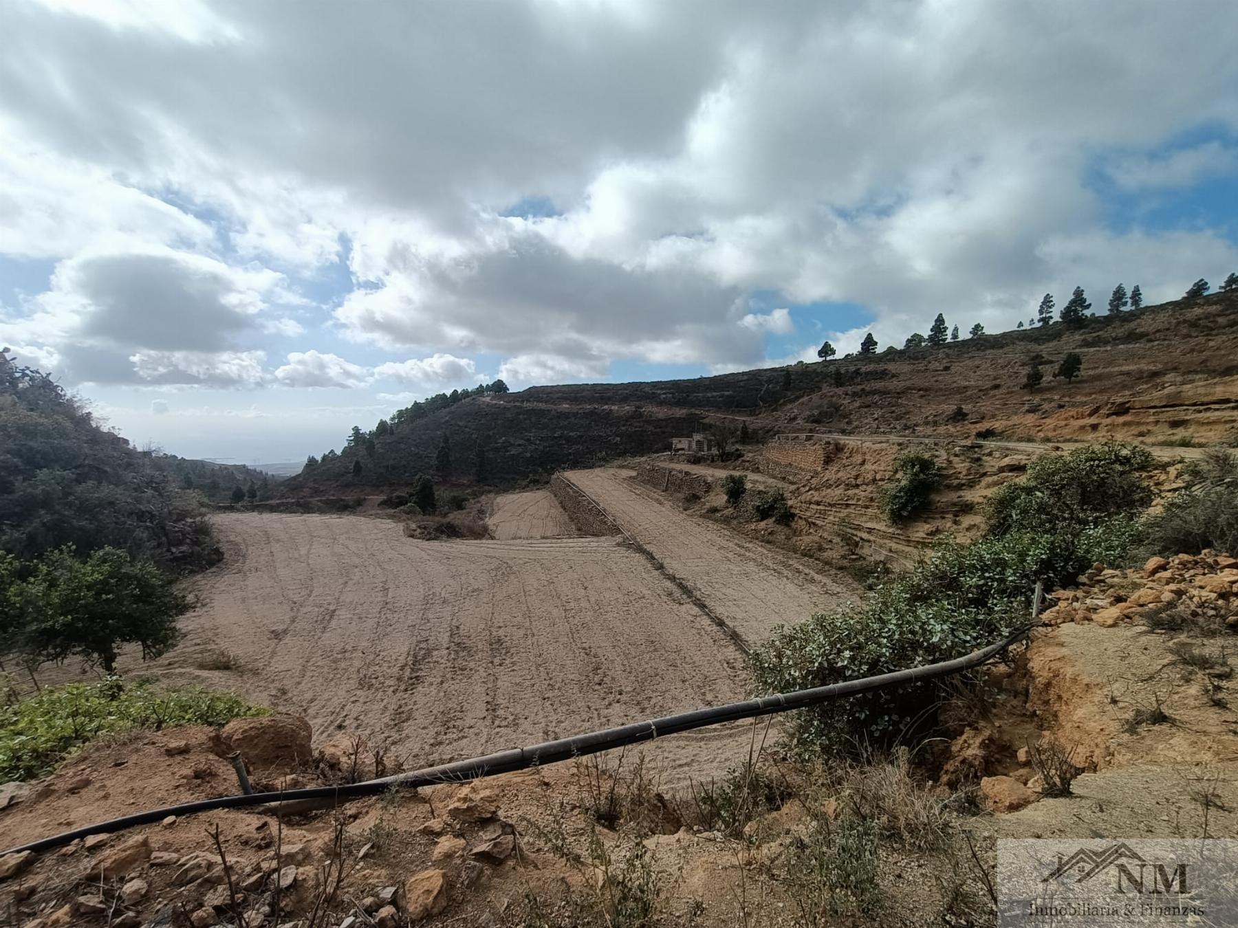 Venta de finca rústica en Granadilla de Abona